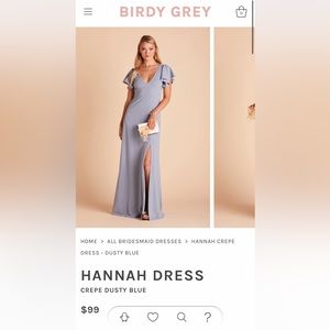 NWT Birdy Grey Hannah Crepe dress in dusty blue.